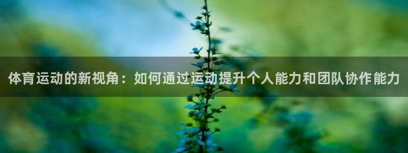 oety欧亿体育官网下载软件：体育运动的新视角：如何