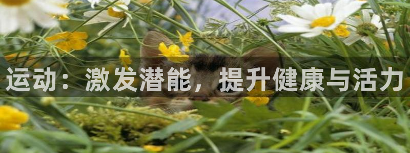 oety欧亿体育官网下载招商电话地址是多少：运动：激