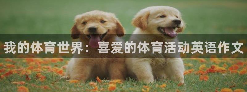 注册欧亿体育官方正版app：我的体育世界：喜爱的体育活动英语