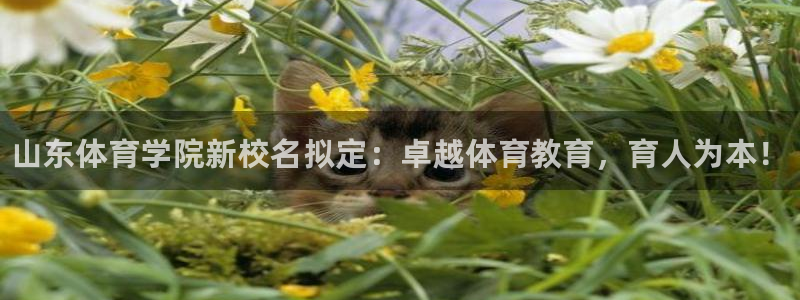 欧亿体育官方正版app代理