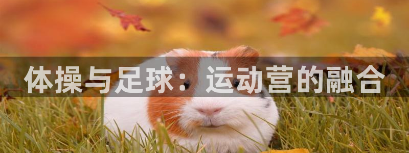 欧亿体育官方正版app集团官网首页网址：体操与足球：