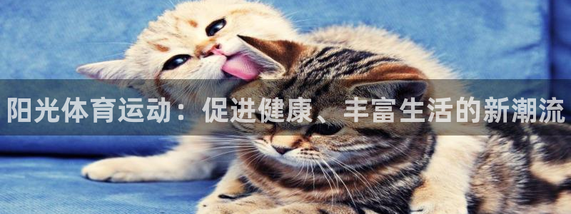 oety欧亿体育官网下载平台假的吗是真的吗吗：阳光体育运动：