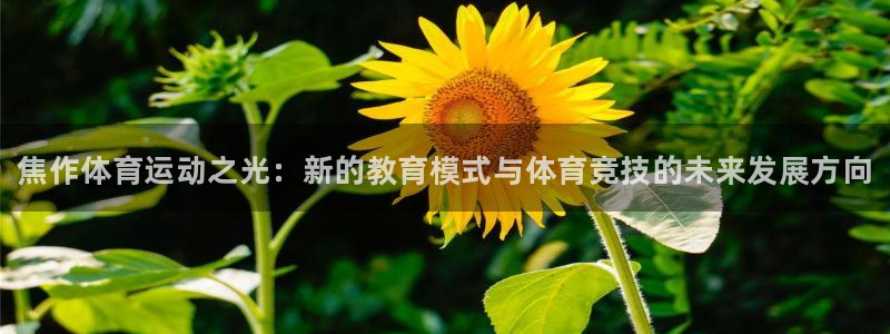 oety欧亿体育官网下载注册：焦作体育运动之光：新的