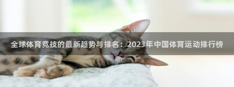oety欧亿体育官网下载招商：全球体育竞技的最新趋势