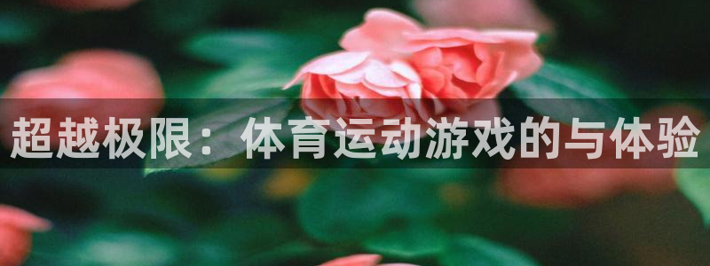 注册欧亿体育官方正版app：超越极限：体育运动游戏的