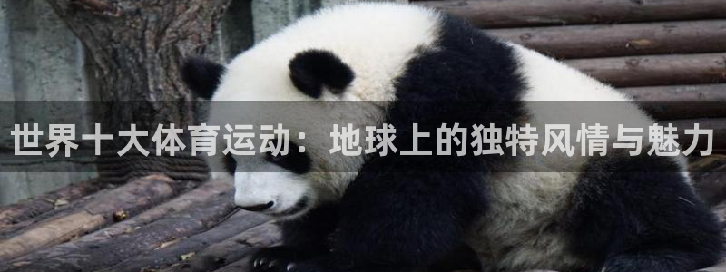 欧亿体育官方正版app集团E.ON：世界十大体育运动
