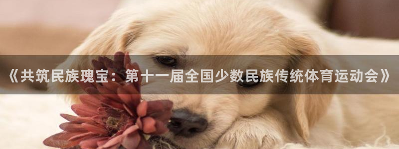oety欧亿体育官网下载招商电话号码：《共筑民族瑰宝：第十一