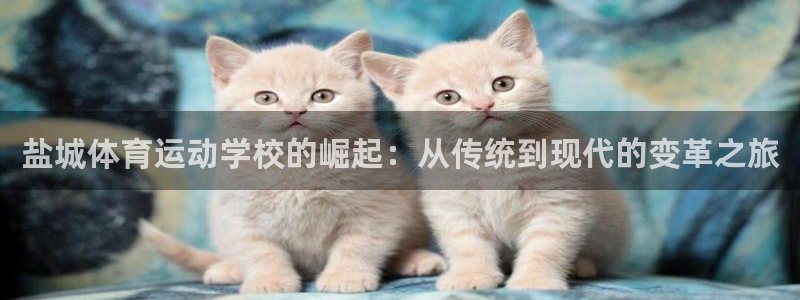 oety欧亿体育官网下载：盐城体育运动学校的崛起：从