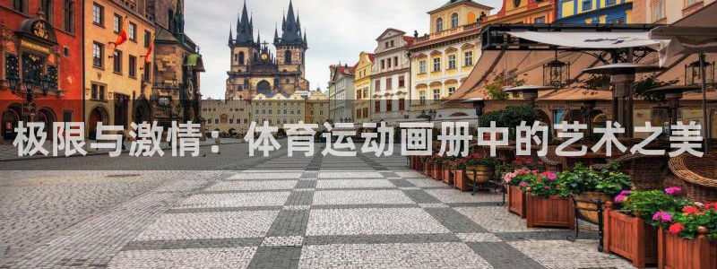 欧亿体育官方正版app开户：极限与激情：体育运动画册中的艺术