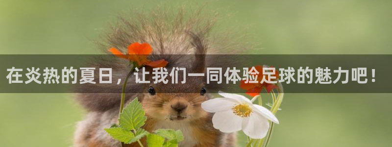 oety欧亿体育官网下载招商电话是多少啊：在炎热的夏