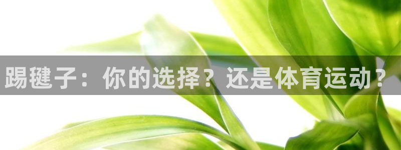 欧亿体育官方正版app官网：踢毽子：你的选择？还是体育运动？