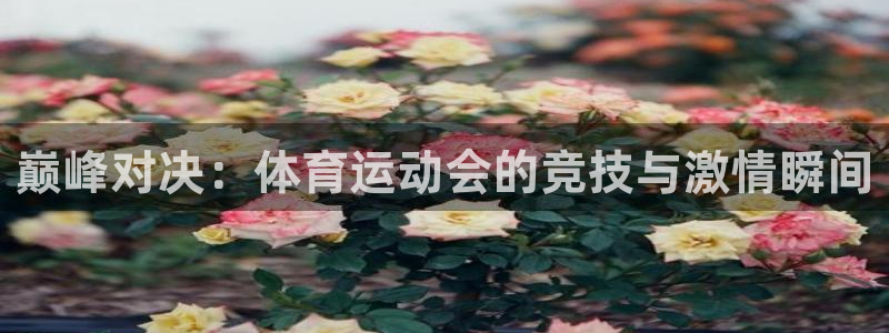 oety欧亿体育官网下载招商电话号码是多少号：巅峰对决：体育