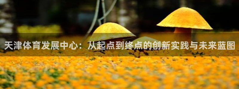 oety欧亿体育官网下载是干嘛的公司：天津体育发展中心：从起