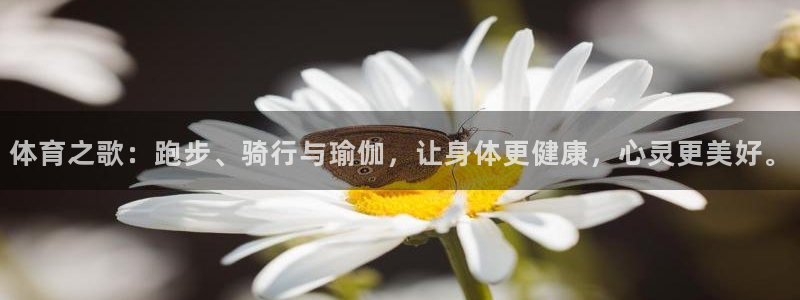 oety欧亿体育官网下载招商电话地址查询：体育之歌：跑步、骑