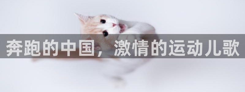 oety欧亿体育官网下载招商电话号码是多少啊：奔跑的