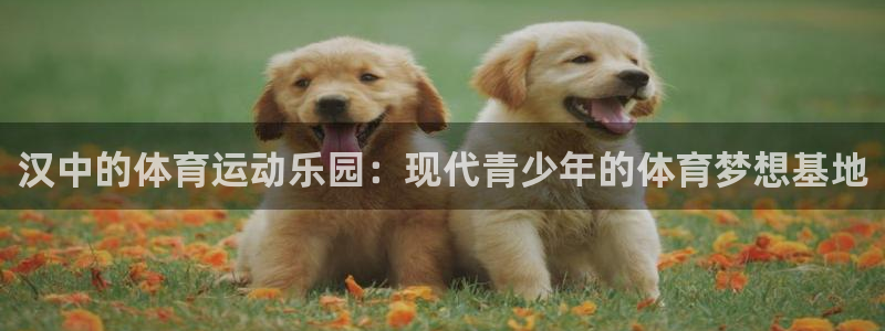 oety欧亿体育官网下载招商电话是多少号码：汉中的体