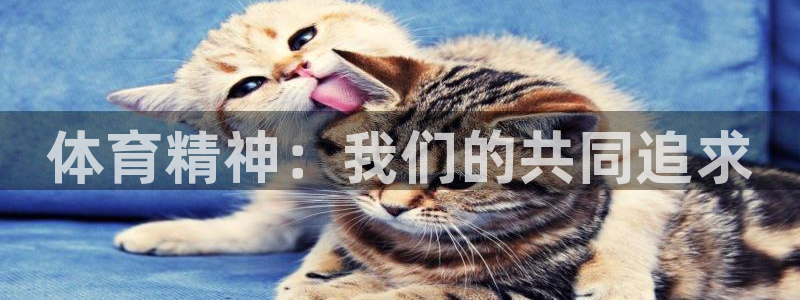 欧亿体育官方正版app集团官网网址