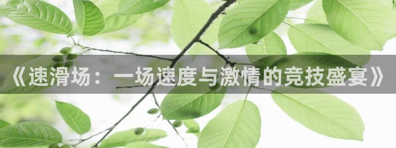 oety欧亿体育官网下载招商：《速滑场：一场速度与激情的竞技